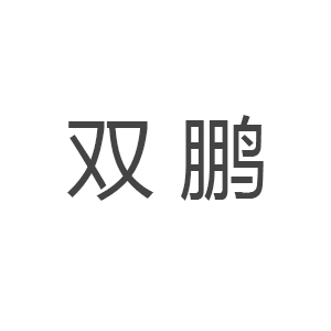 西安雙鵬網絡科技有限公司